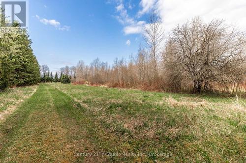 Pt Lt 170 Con 2  Road 170, Grey Highlands, ON 