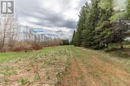 Pt Lt 170 Con 2  Road 170, Grey Highlands, ON 