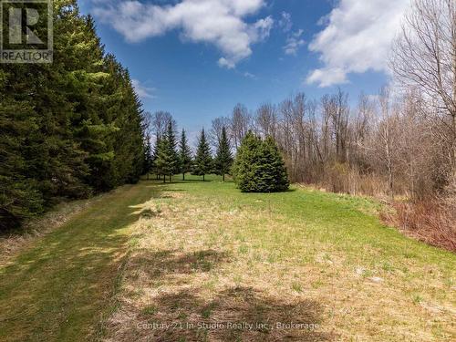 Pt Lt 170 Con 2  Road 170, Grey Highlands, ON 