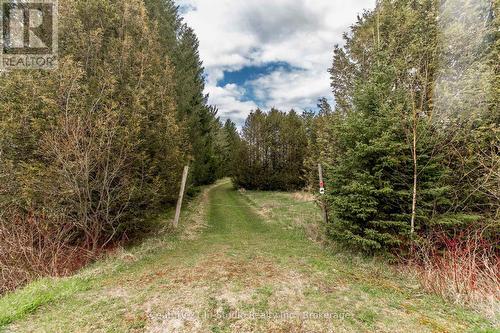 Pt Lt 170 Con 2  Road 170, Grey Highlands, ON 