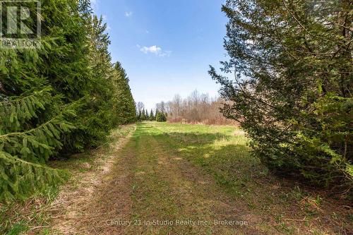 Pt Lt 170 Con 2  Road 170, Grey Highlands, ON 