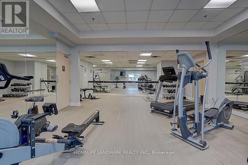 303 - 238 Doris Avenue, Toronto, ON - Indoor Photo Showing Gym Room