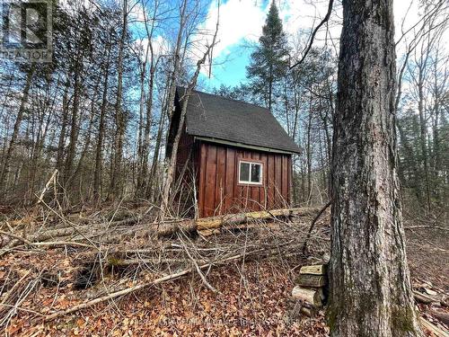 1518 Wintergreen Road, North Frontenac (Frontenac North), ON 