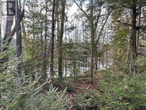 1518 Wintergreen Road, North Frontenac (Frontenac North), ON 