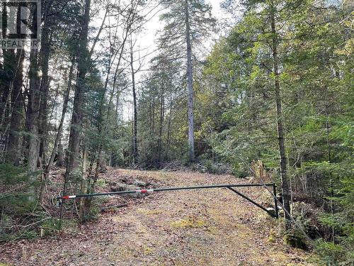 1518 Wintergreen Road, North Frontenac (Frontenac North), ON 