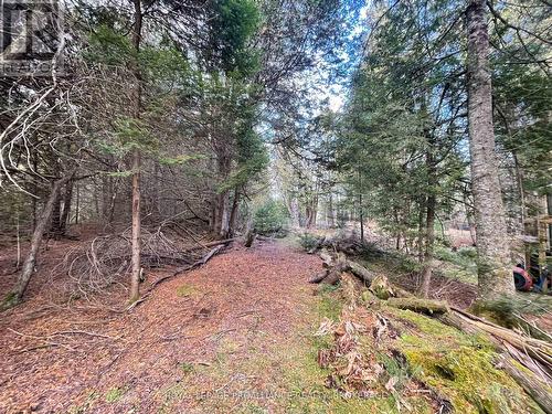 1518 Wintergreen Road, North Frontenac (Frontenac North), ON 