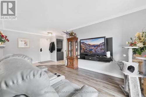 209 - 793 Colborne Street, Brantford, ON - Indoor Photo Showing Living Room