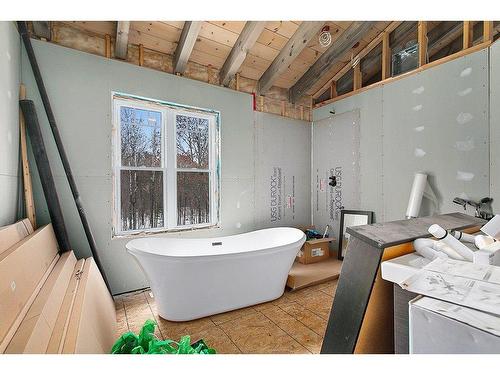 Bathroom - 92 Ch. Blaskie, Otter Lake, QC - Indoor Photo Showing Bathroom