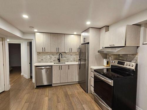 Bsmt-384 Lolita Gdns, Mississauga, ON - Indoor Photo Showing Kitchen With Stainless Steel Kitchen