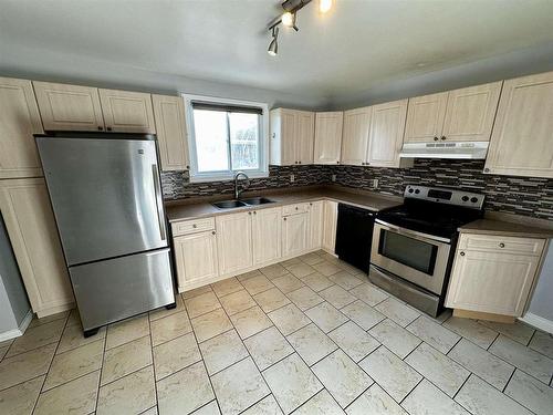 1312 Euclid Avenue, Thunder Bay, ON - Indoor Photo Showing Kitchen With Double Sink