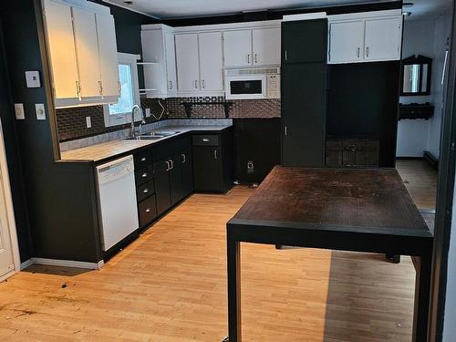 Kitchen - 1030 Rue Lefebvre, Shawinigan, QC - Indoor Photo Showing Kitchen With Double Sink