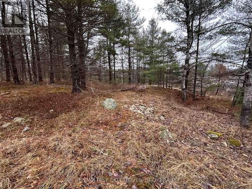 Lot 16 Echo Lake Road, Central Frontenac (Frontenac Centre), ON 