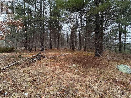 Lot 16 Echo Lake Road, Central Frontenac, ON 