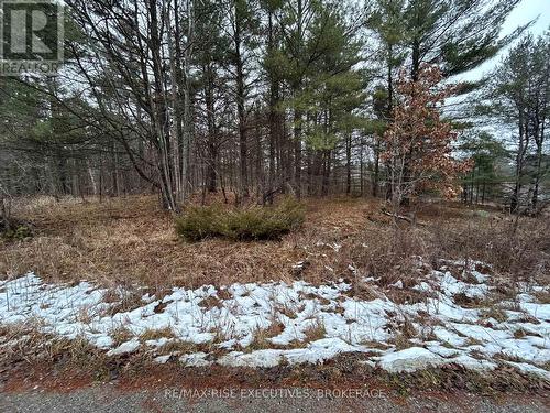 Lot 16 Echo Lake Road, Central Frontenac, ON 