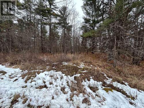 Lot 16 Echo Lake Road, Central Frontenac (Frontenac Centre), ON 