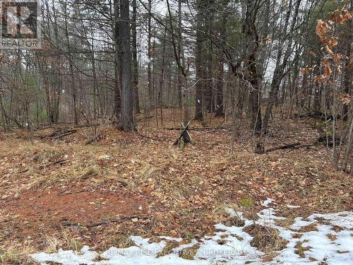 Lot 16 Echo Lake Road, Central Frontenac (Frontenac Centre), ON 