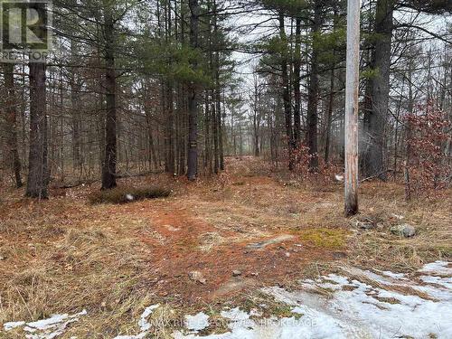 Lot 16 Echo Lake Road, Central Frontenac (Frontenac Centre), ON 