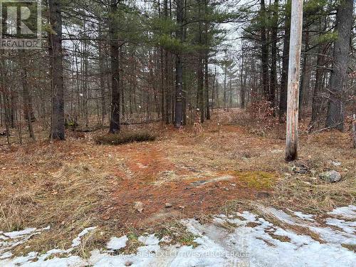 Lot 16 Echo Lake Road, Central Frontenac, ON 