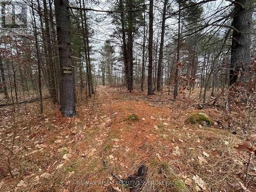 Lot 16 Echo Lake Road, Central Frontenac, ON 