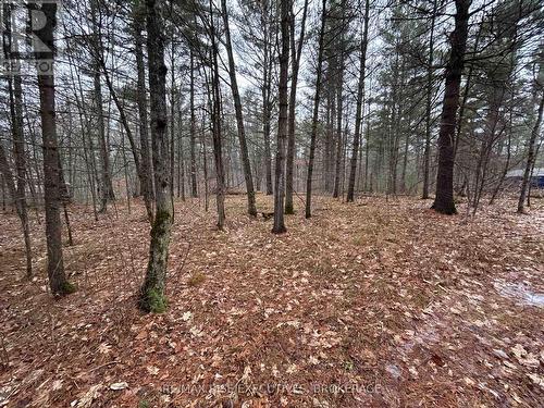 Lot 16 Echo Lake Road, Central Frontenac (Frontenac Centre), ON 