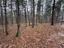 Lot 16 Echo Lake Road, Central Frontenac (Frontenac Centre), ON 