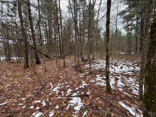 Lot 16 Echo Lake Road, Central Frontenac, ON 