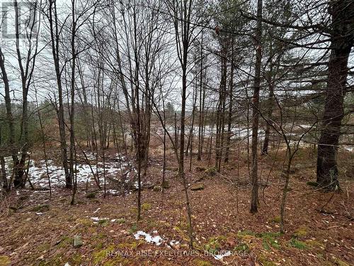 Lot 16 Echo Lake Road, Central Frontenac, ON 