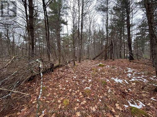 Lot 16 Echo Lake Road, Central Frontenac (Frontenac Centre), ON 