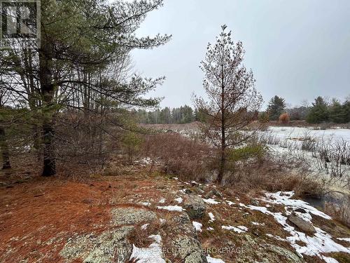 Lot 16 Echo Lake Road, Central Frontenac (Frontenac Centre), ON 