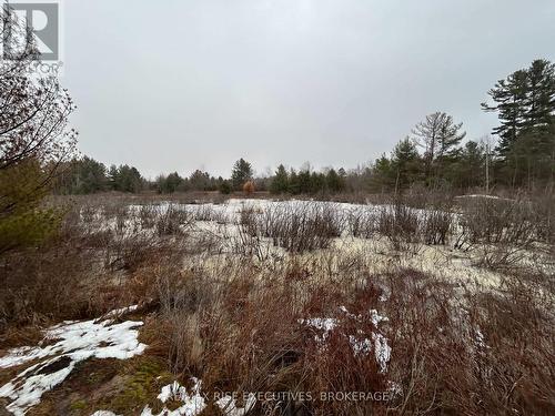 Lot 16 Echo Lake Road, Central Frontenac (Frontenac Centre), ON 