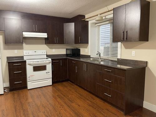 Basement-205Xx 69 ' Avenue, Langley, BC - Indoor Photo Showing Kitchen With Double Sink