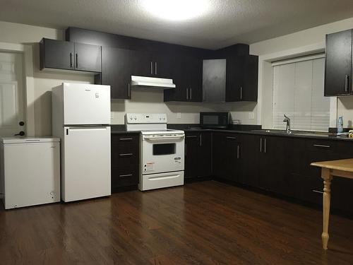 Basement-205Xx 69 ' Avenue, Langley, BC - Indoor Photo Showing Kitchen