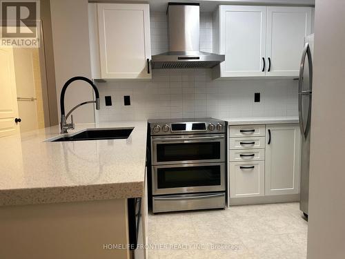 217 - 310 Red Maple Road, Richmond Hill, ON - Indoor Photo Showing Kitchen With Stainless Steel Kitchen With Upgraded Kitchen