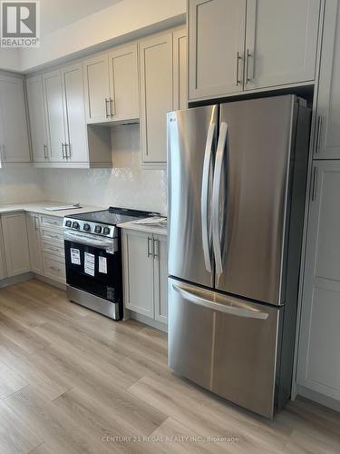 87 - 55 Tom Brown Drive, Brant, ON - Indoor Photo Showing Kitchen With Stainless Steel Kitchen