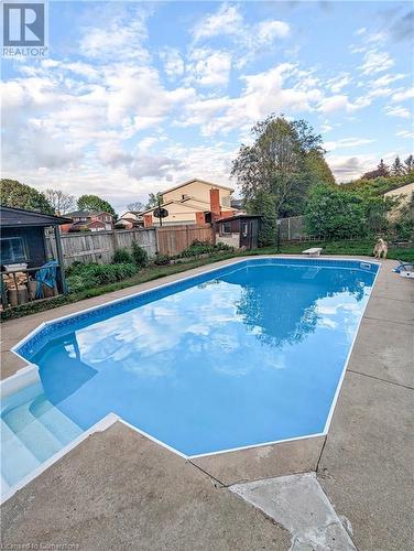 View of pool featuring a diving board - 362 Blair Road, Cambridge, ON - Outdoor With In Ground Pool With Backyard