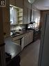 430 Mcnabb St, Sault Ste. Marie, ON  - Indoor Photo Showing Kitchen With Double Sink 