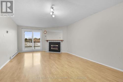 316 - 737 Deveron Crescent, London, ON - Indoor Photo Showing Living Room With Fireplace