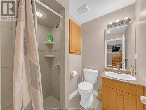 262 Willowwood Drive, Lakeshore, ON - Indoor Photo Showing Bathroom