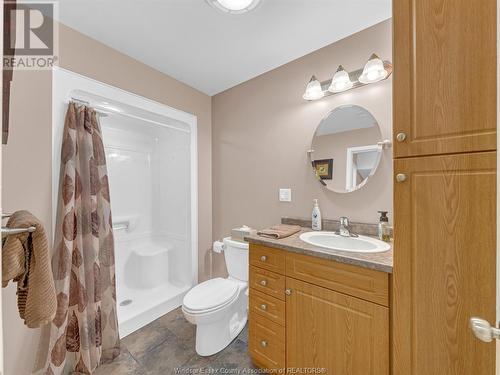 262 Willowwood Drive, Lakeshore, ON - Indoor Photo Showing Bathroom