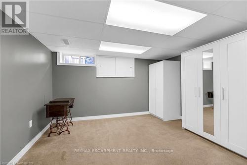 253 Thorner Drive, Hamilton, ON - Indoor Photo Showing Basement