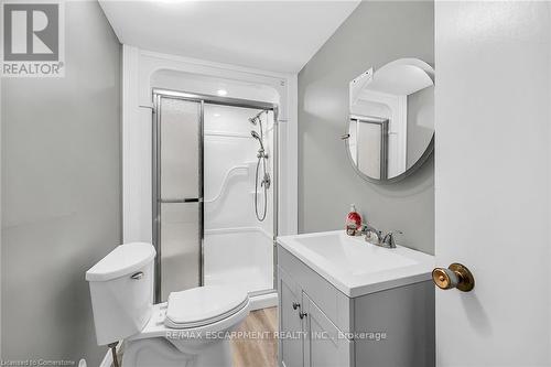 253 Thorner Drive, Hamilton, ON - Indoor Photo Showing Bathroom