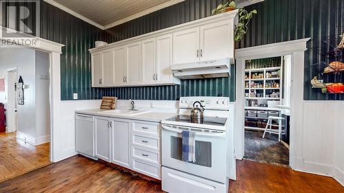 12 Mayor Avenue, St.John'S, NL - Indoor Photo Showing Kitchen