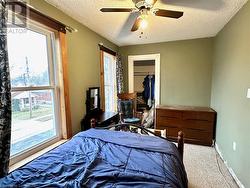 Carpeted bedroom featuring multiple windows, a textured ceiling, a closet, and ceiling fan - 