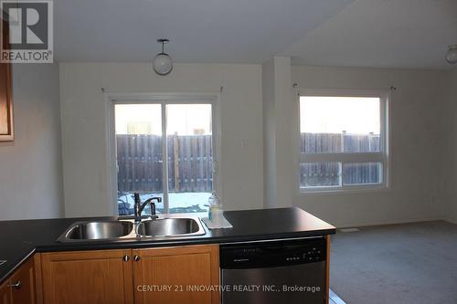 41 Hollingsworth Circle, Brampton, ON - Indoor Photo Showing Kitchen With Double Sink