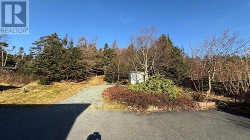 195 Petty Harbour Road, St. John’S, NL - Outdoor With View