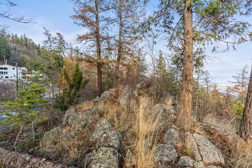 9357 Winchester Road, Vernon, BC - Outdoor With View