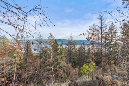 9357 Winchester Road, Vernon, BC - Outdoor With View