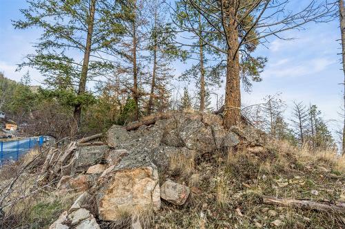 9357 Winchester Road, Vernon, BC - Outdoor With View