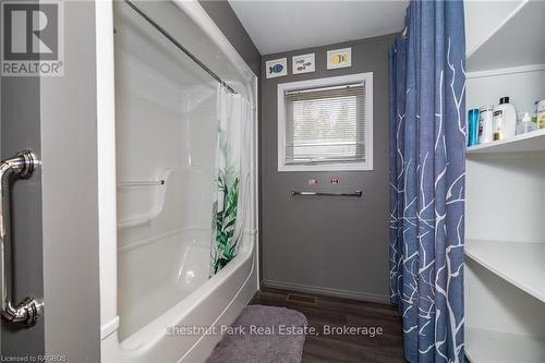 7078 Highway 6, Northern Bruce Peninsula, ON - Indoor Photo Showing Bathroom