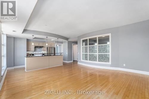 502 - 290 Powell Avenue, Ottawa, ON - Indoor Photo Showing Kitchen